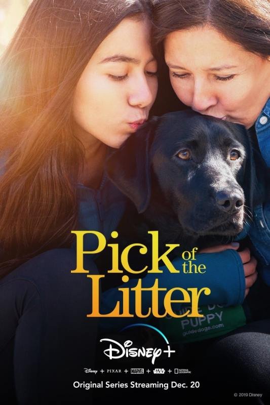 Pick of the Litter Disney+ series poster
