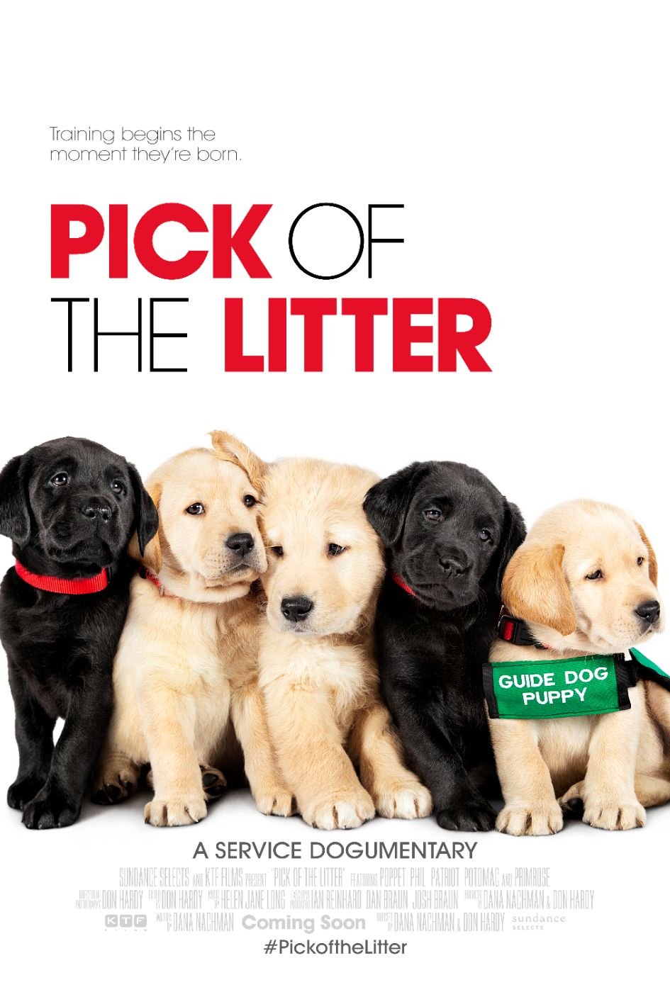 Pick of the Litter poster