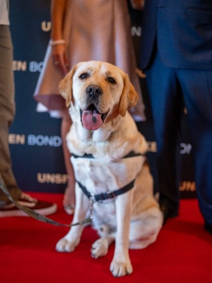 Unspoken Bond Wellington premiere